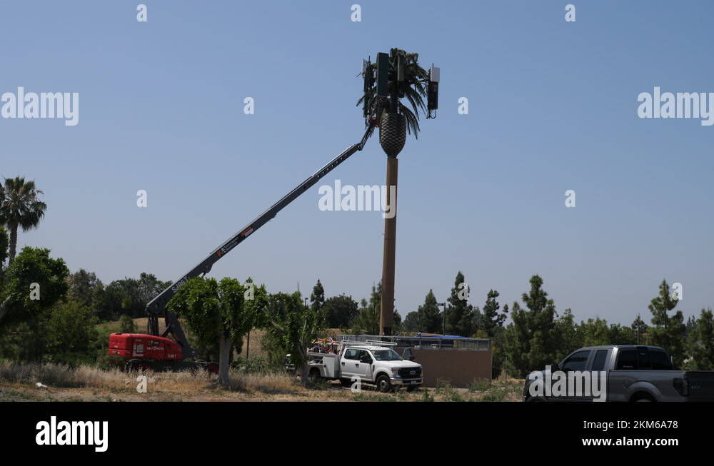 Palm Tree Cell Tower under construction Stock Video Footage Alamy