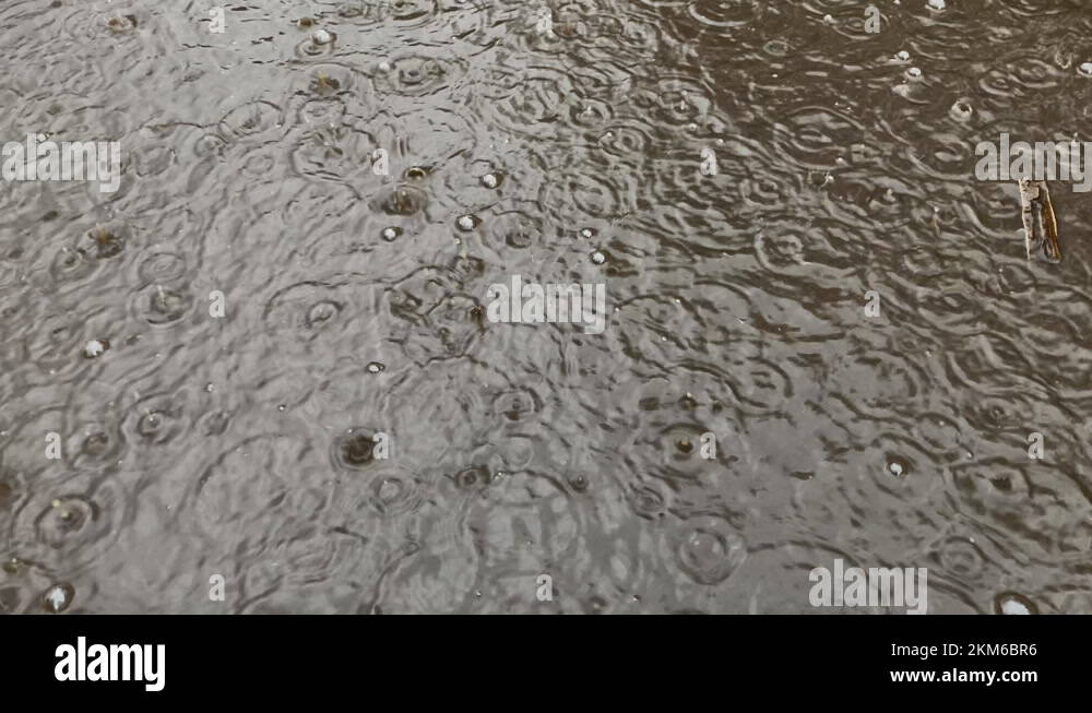 Rain Water Drops Falling Into Big Puddle On Asphalt Flooding The Rain Water Drops Falling Into Big Puddle On Asphalt Flooding The