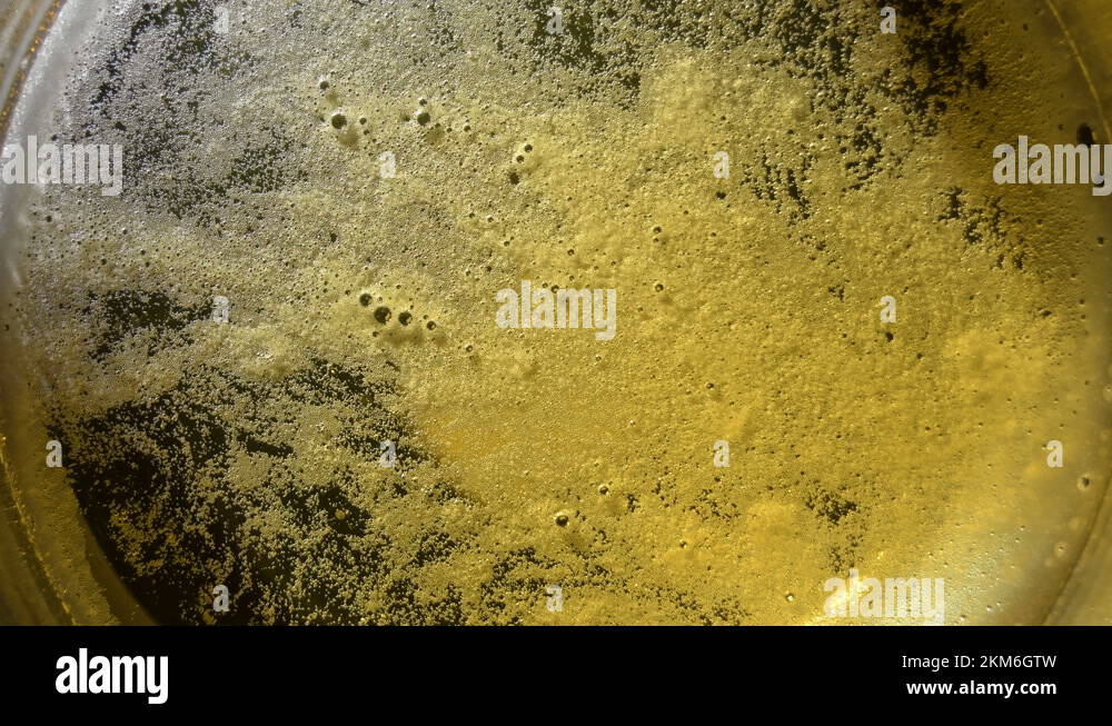 Fermenting drink Stock Videos & Footage HD and 4K Video Clips Alamy