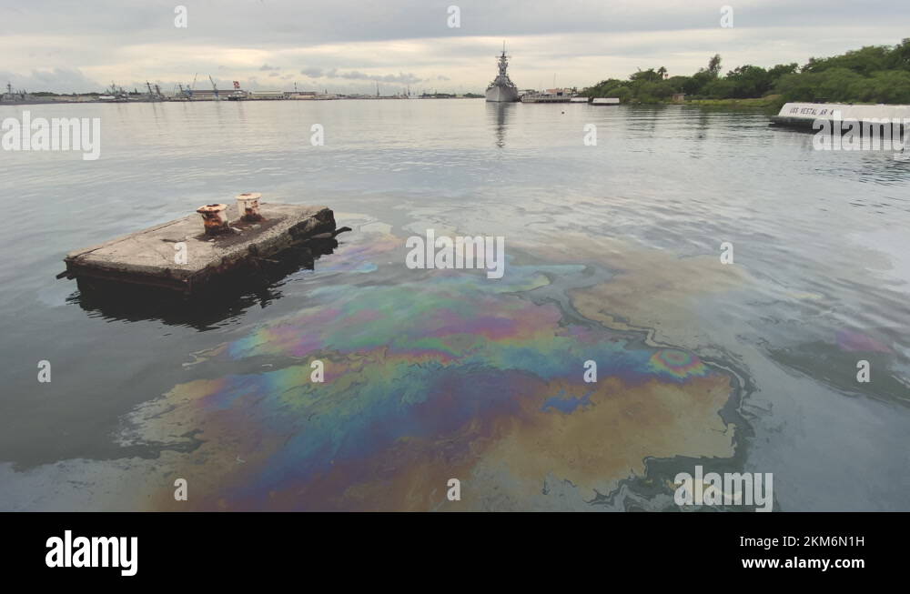 Ussarizonaoilleak Stock Videos & Footage HD and 4K Video Clips Alamy