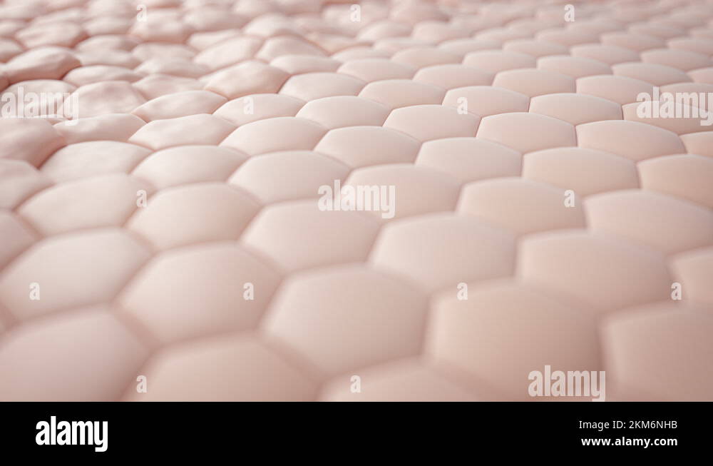 Damaged skin cells repairing, wave, 3D Hexagonal Skin Set Stock Video Footage Alamy