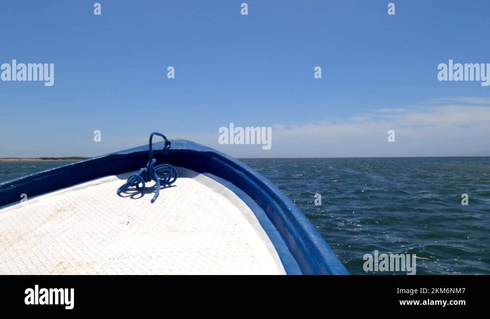 A small motor boat heads out on a whale watching tour in Magdelena Bay Stock Video Footage Alamy