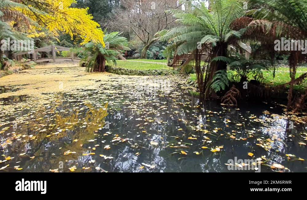 Alfred house gardens Stock Videos & Footage HD and 4K Video Clips Alamy