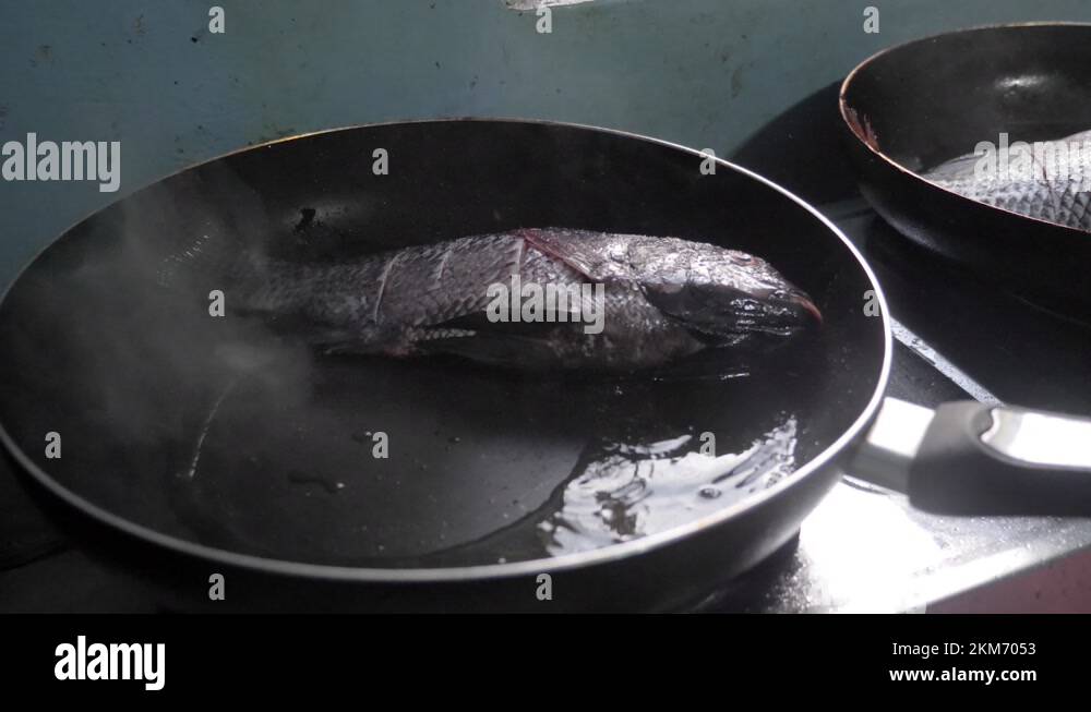 Frying tilapia fish in a pan with cooking oil Stock Video Footage Alamy