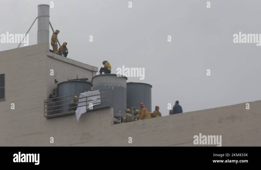 Elisa lam the body in the water tank Stock Videos & Footage HD and 4K