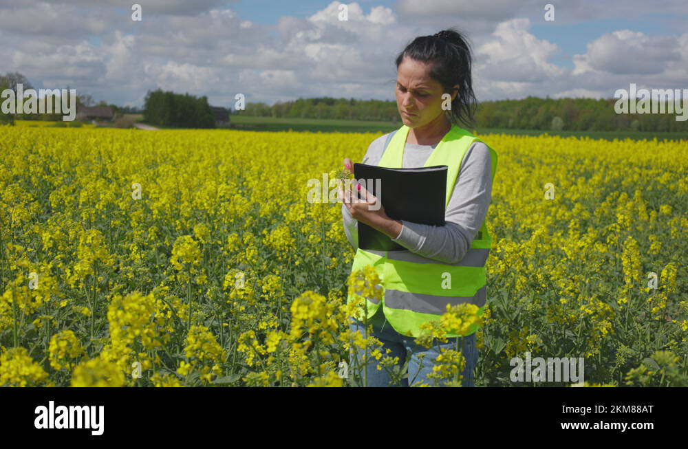 Field researcher Stock Videos & Footage HD and 4K Video Clips Alamy