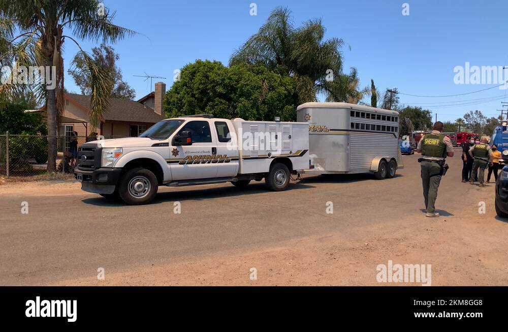 Evacuating Stock Videos Footage Hd And 4k Video Clips Alamy Evacuating Stock Videos Footage Hd And 4k Video Clips Alamy