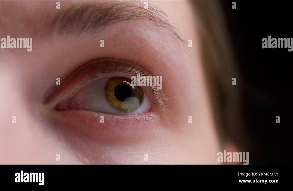 Eye glance Stock Videos & Footage - HD and 4K Video Clips - Alamy