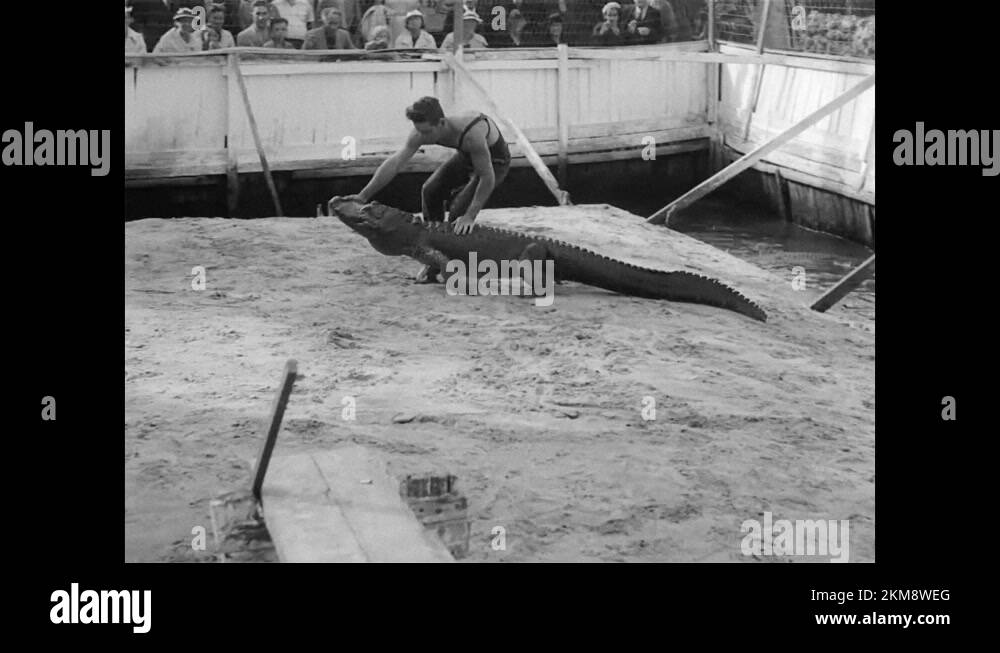 Historic seminole native american indian Stock Videos & Footage HD