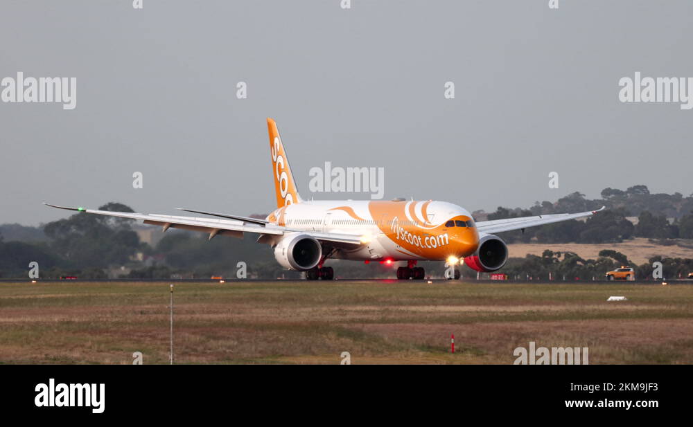 Scoot Airlines Boeing 787 Dreamliner landing at Melbourne Airport Stock