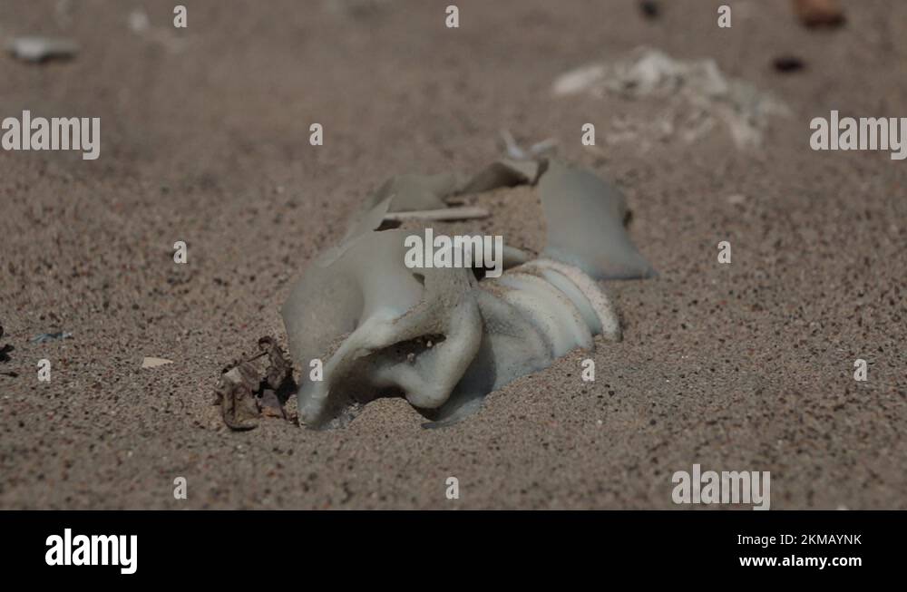 Plastic bottle buried in sand dunes, burned trash. Environmental
