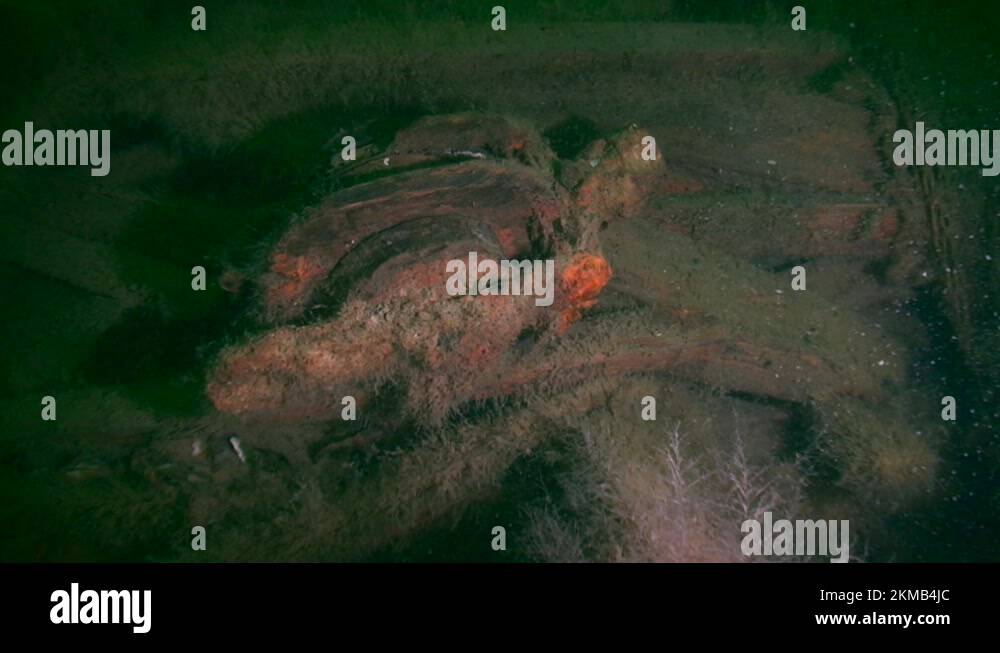 Underwater archeology Stock Videos & Footage HD and 4K Video Clips