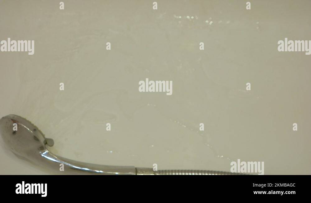 Female alopecia theme. the problem of hair loss and loss in humans. In ...