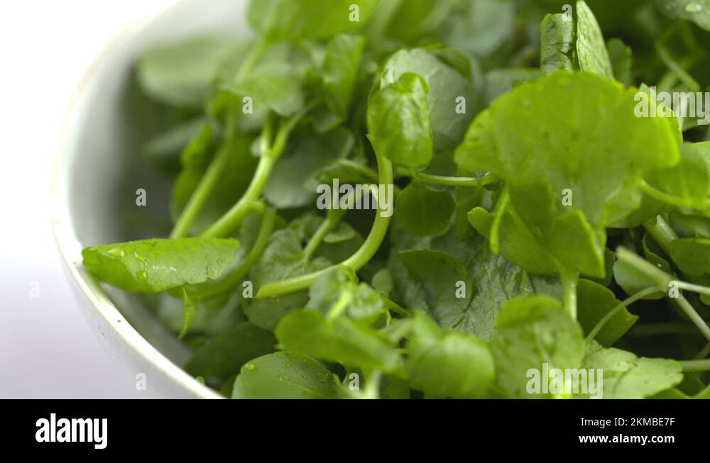 Raw watercress Stock Videos & Footage HD and 4K Video Clips Alamy