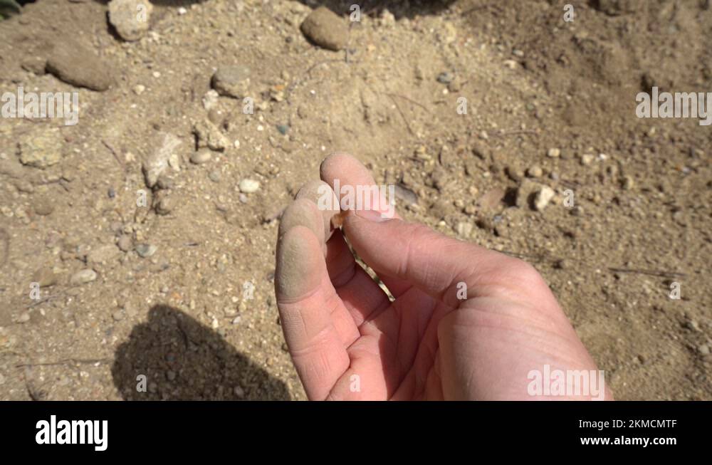 Extinct shark tooth fossil Stock Videos & Footage - HD and 4K Video