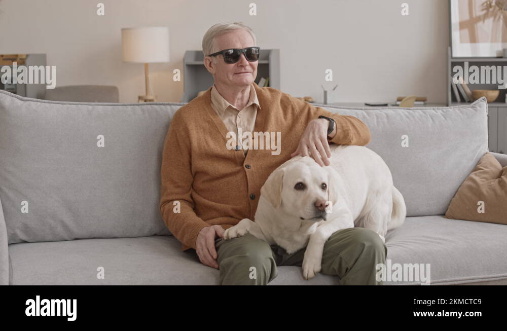 Labrador Man Senior black labrador Stock Videos & Footage - HD and 4K Video Clips ...