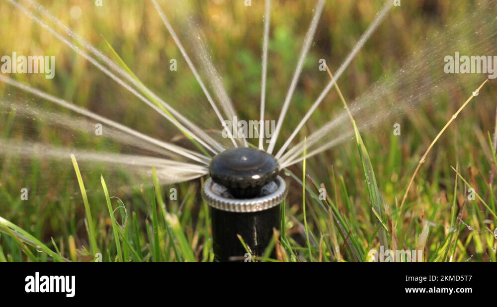 Watering nozzle Stock Videos & Footage HD and 4K Video Clips Alamy