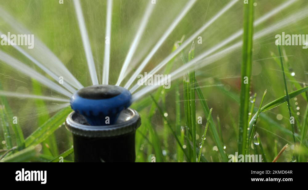 Nozzle for automatic watering of lawn grass Stock Video Footage Alamy