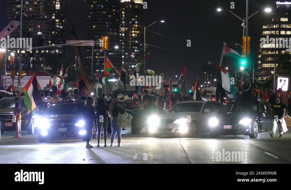 Free palestine movement Stock Videos & Footage - HD and 4K Video Clips