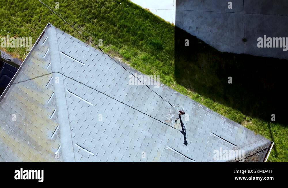 Replacing trees Stock Videos & Footage HD and 4K Video Clips Alamy