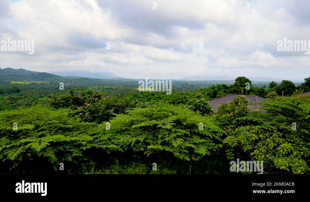 Structures By The Hillside Overlooking Dense Forest Trees On West Bali ...