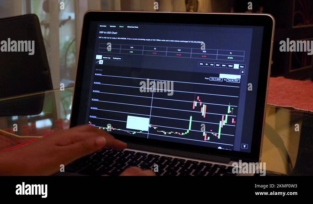 Women going through XRP 1 Year Candle Stick Charts on a Laptop Stock
