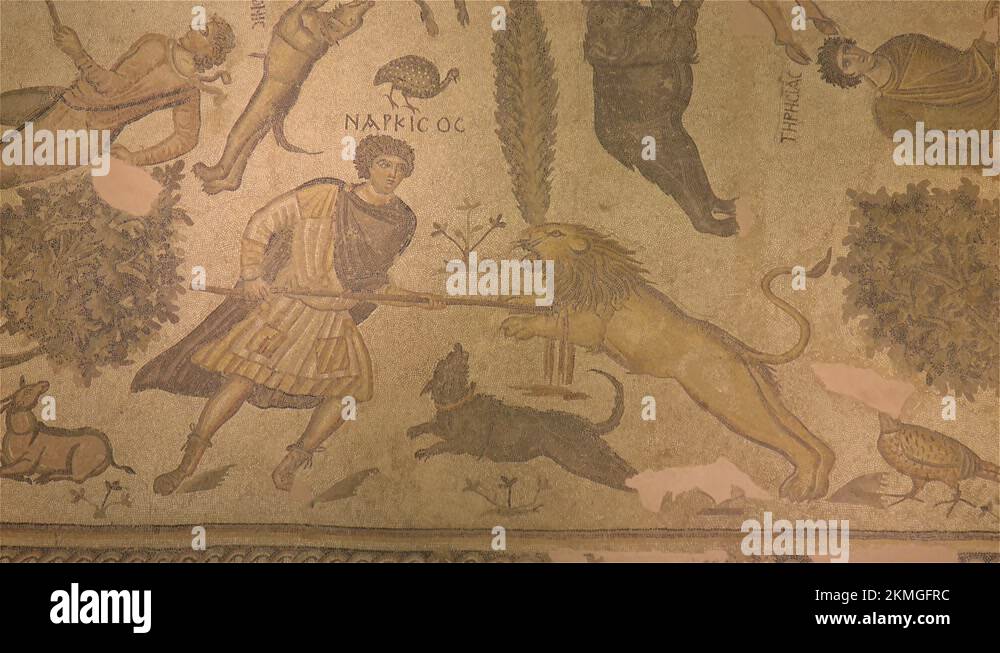 Man killing lion Stock Videos & Footage - HD and 4K Video Clips - Alamy