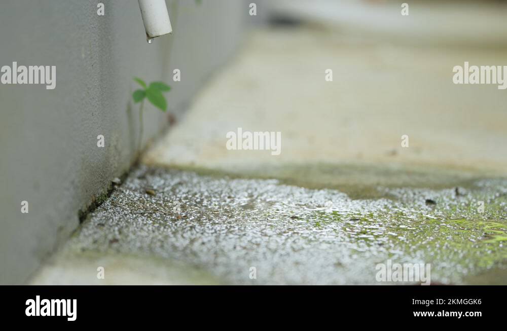 Droplets water from compressor drain hose when using the air