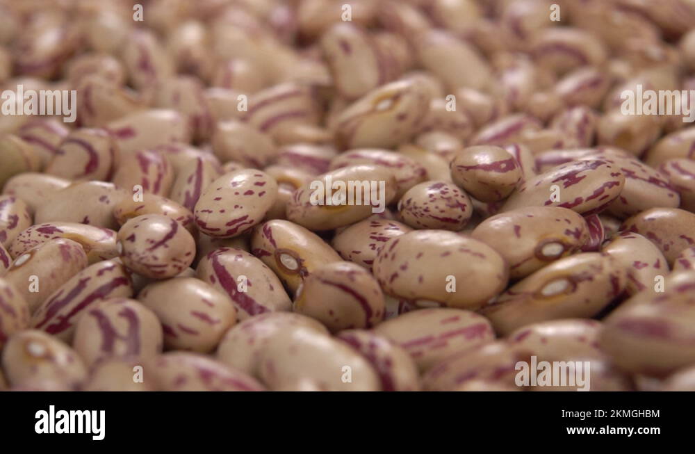 Dry pinto bean Stock Videos & Footage HD and 4K Video Clips Alamy