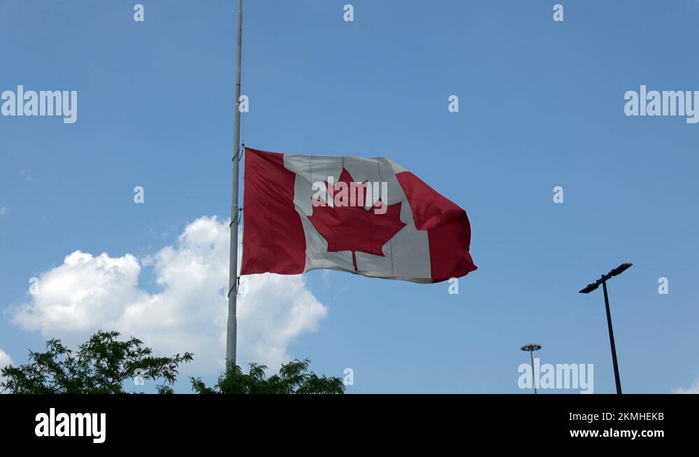 Canadian flag flying at half mast to honour the Indigenous children who died Stock Video