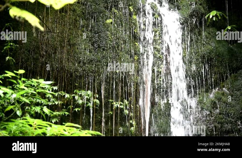 Splash water park bali Stock Videos & Footage HD and 4K Video Clips