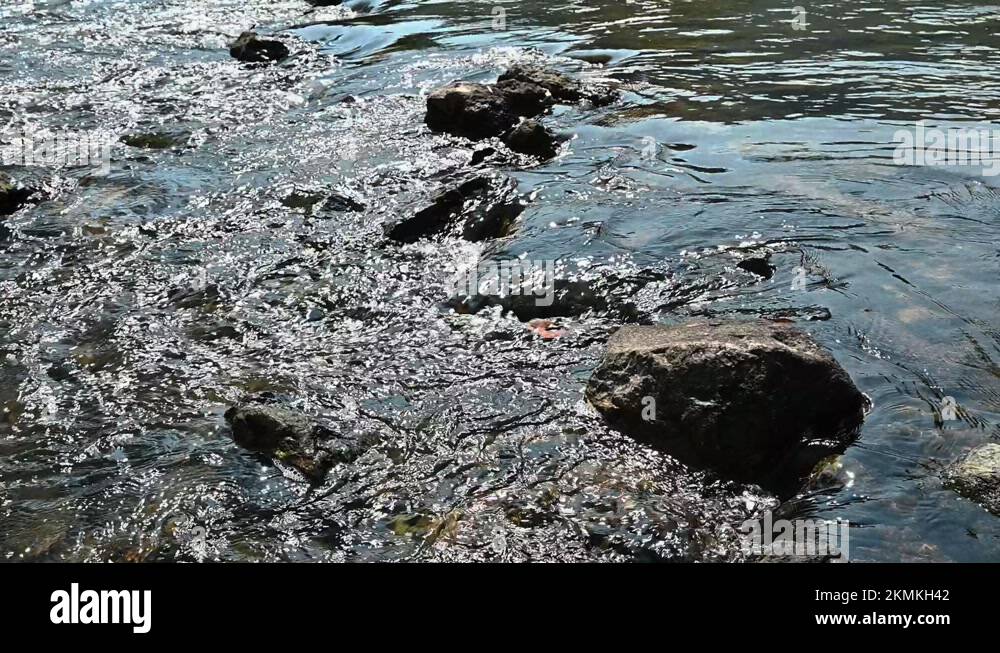 Waterside Rocks Rock river water river waterside park Stock Videos & Footage - HD and ...