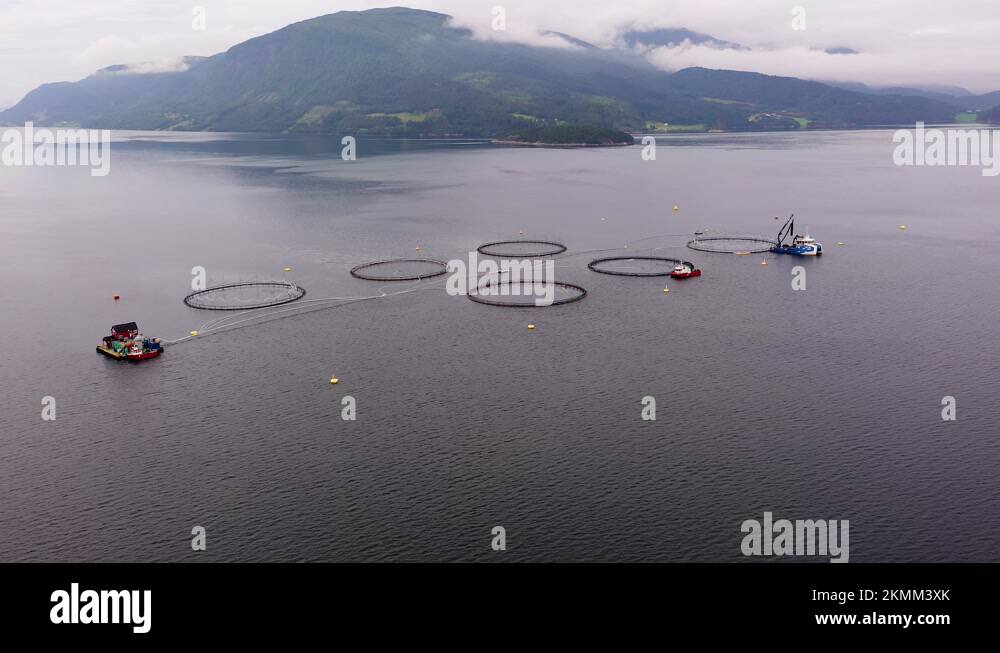 Fish farming nets Stock Videos & Footage - HD and 4K Video Clips - Alamy