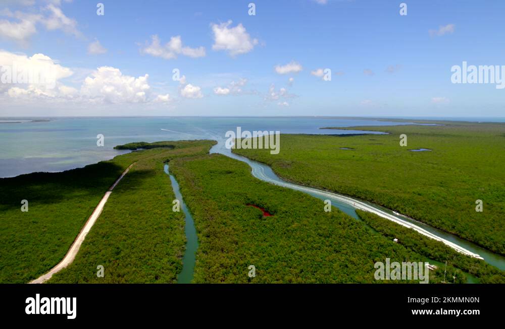 Red tide florida aerial Stock Videos & Footage - HD and 4K Video Clips ...