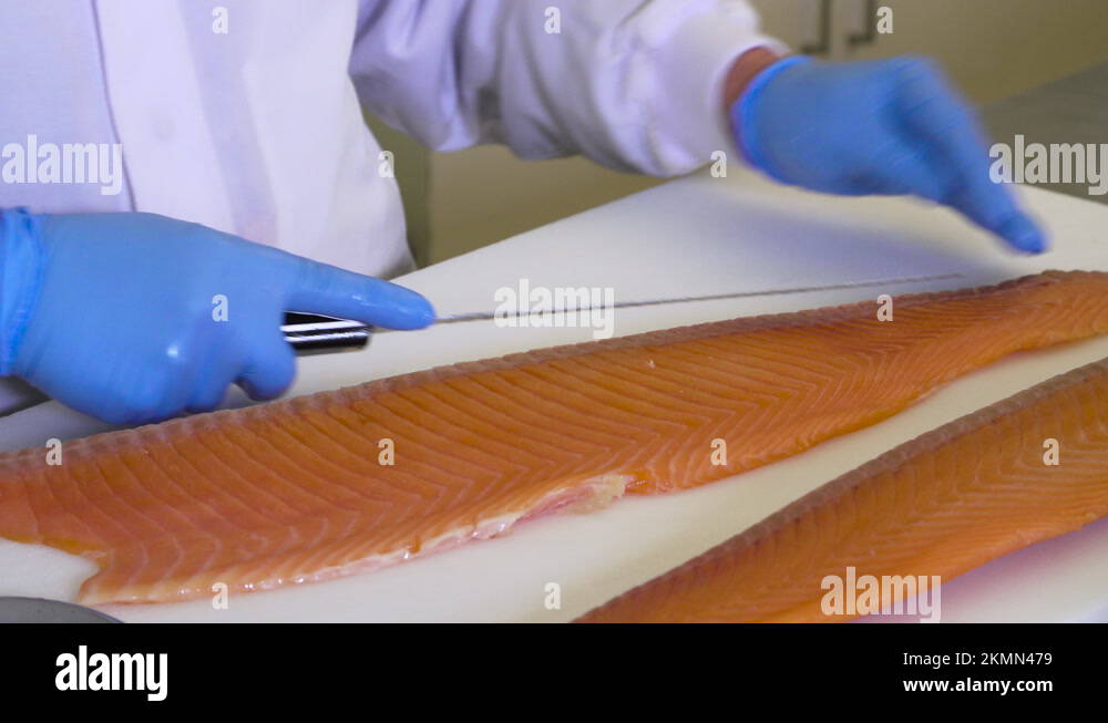 Salmon of knowledge Stock Videos & Footage - HD and 4K Video Clips - Alamy