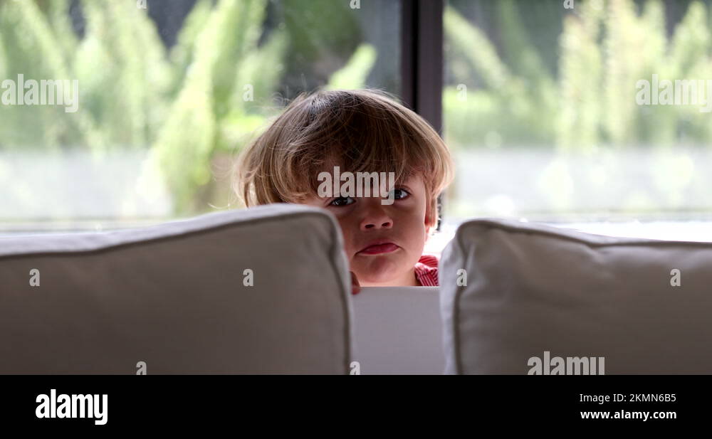 Hide behind sofa child Stock Videos & Footage HD and 4K Video Clips