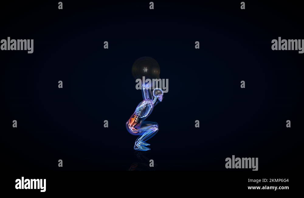 Athlete XRay Exercising Heavy Weight Squat, Seamless Loop Stock Video
