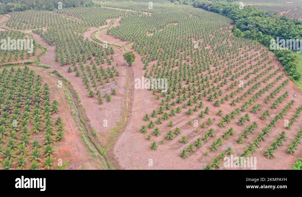 Dominican republic industry Stock Videos & Footage HD and 4K Video