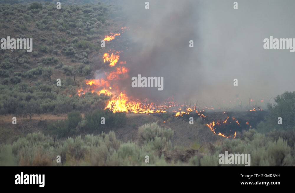 Wildfire burn field terrain Stock Videos & Footage HD and 4K Video