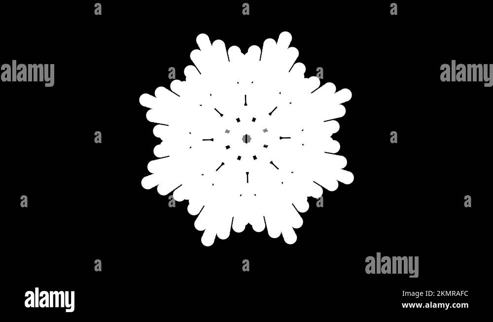 Snowflake animation on black background. Looping animation Stock Video ...