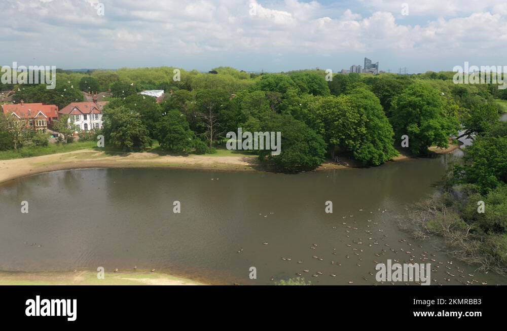 Pond and sandy waterfront in public park, birds flying above water