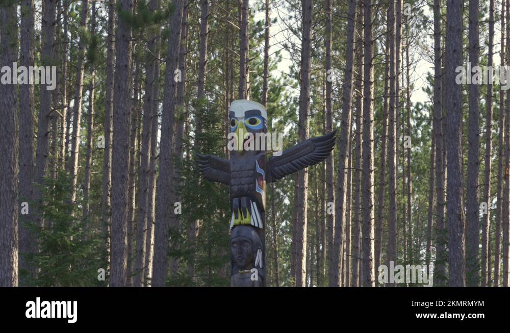 View of Carving a totem pole Stock Videos & Footage - HD and 4K Video Clips - Alamy