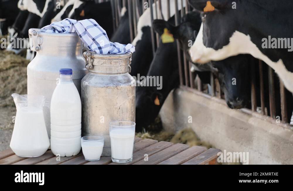 Animal feed containers Stock Videos & Footage HD and 4K Video Clips