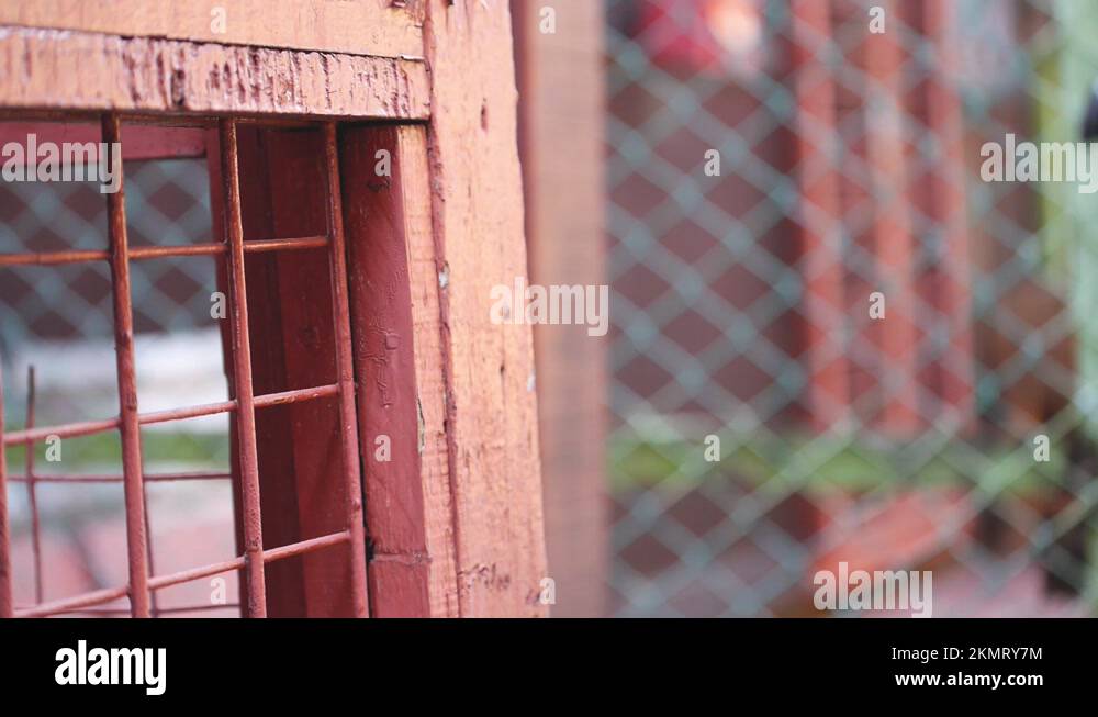 Copper house Stock Videos & Footage HD and 4K Video Clips Alamy