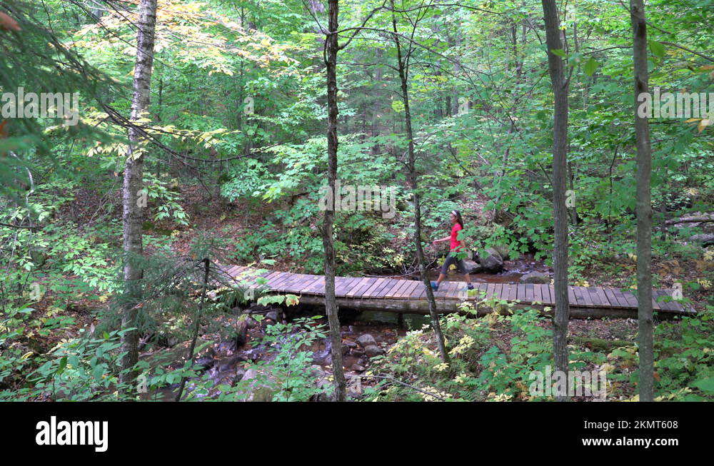 Beautiful female hiker in forest Stock Videos & Footage - HD and 4K ...