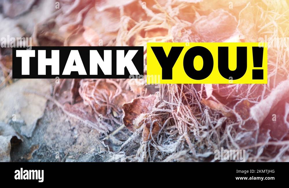 Thank you template Stock Videos & Footage - HD and 4K Video Clips - Alamy
