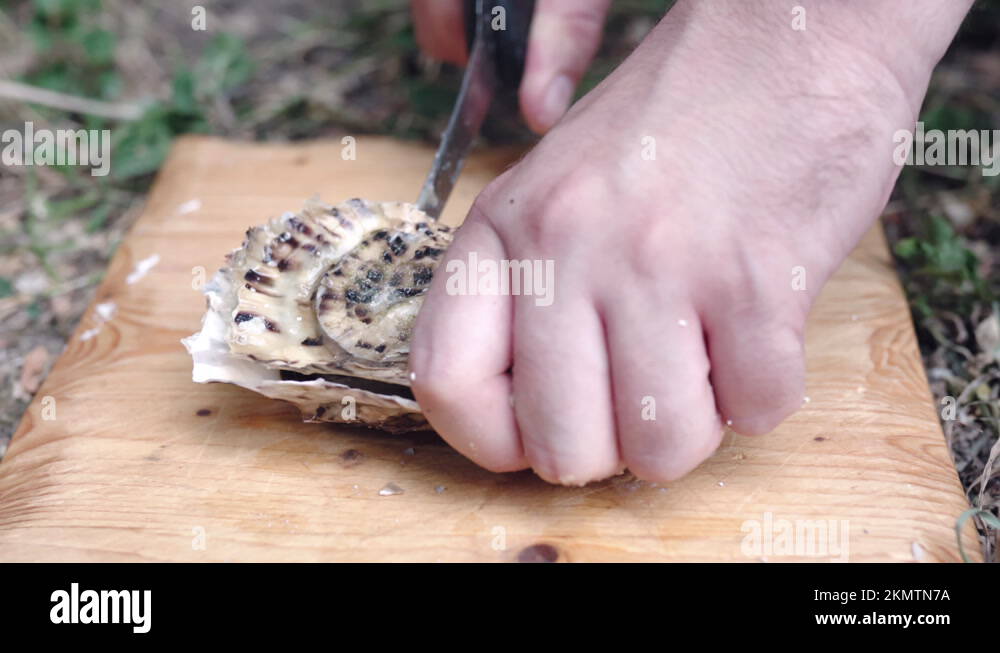 Man opening fresh raw oyster shell at the fish market, seafood concept Stock Video Footage Alamy