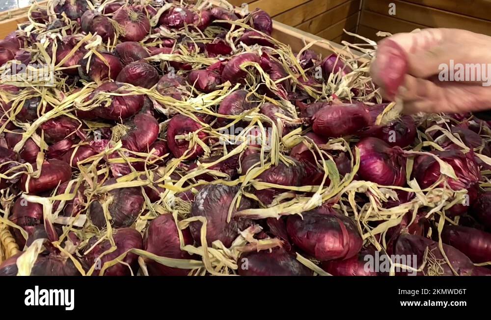Red onion skins Stock Videos & Footage HD and 4K Video Clips Alamy
