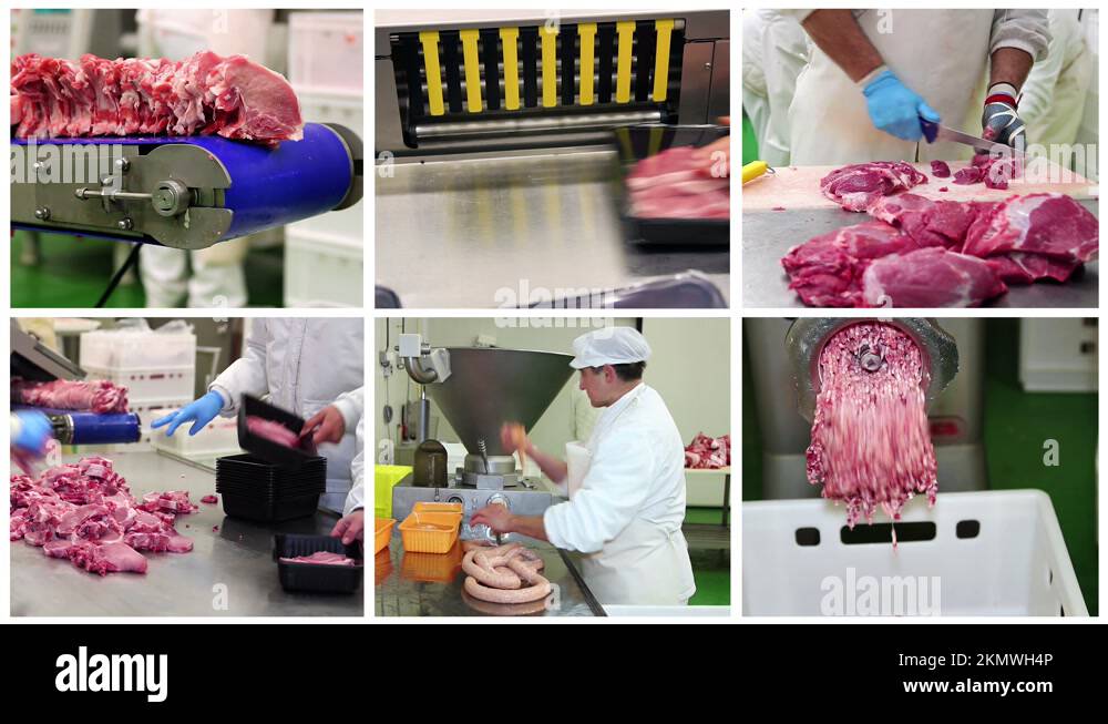 Meat Processing and Packaging Conceptual Multi Screen Video Stock Video