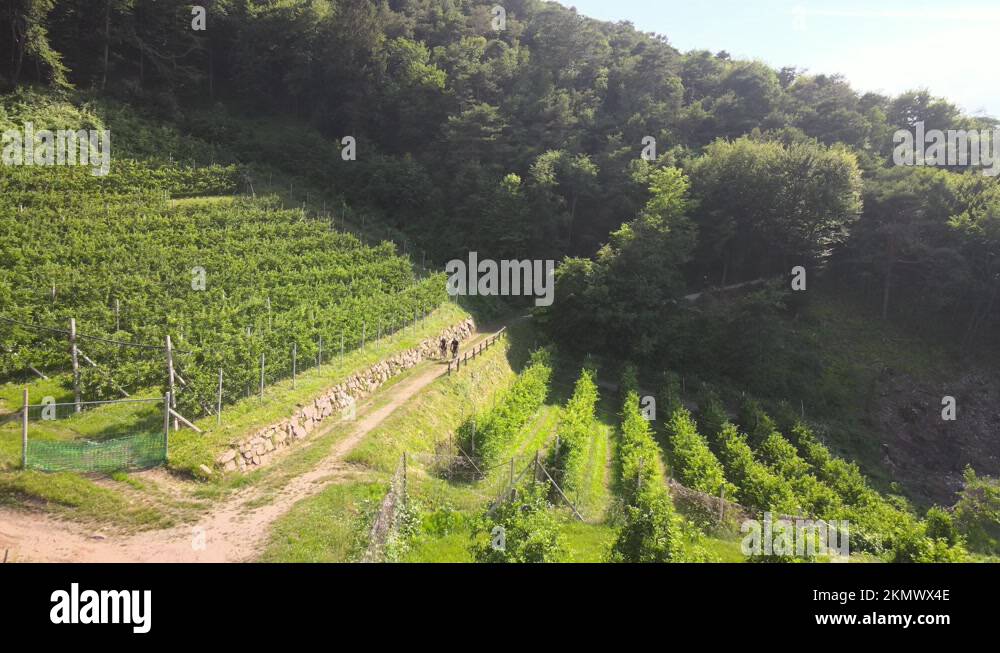two cyclists riding a bike coming out of the forest on the mountains